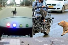 వీధి కుక్కలు ఇక మీ బండి వెంటబడవ్ ..‘అల్ట్రాసోనిక్ డాగ్ రిపెల్లెంట్‌’ను కనిపెట్టిన వ్యక్తి