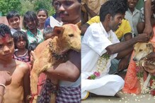 Viral: ఆ ఊర్లో కుక్కలతో యువకులకు పెళ్లి..ఎందుకిలా..?