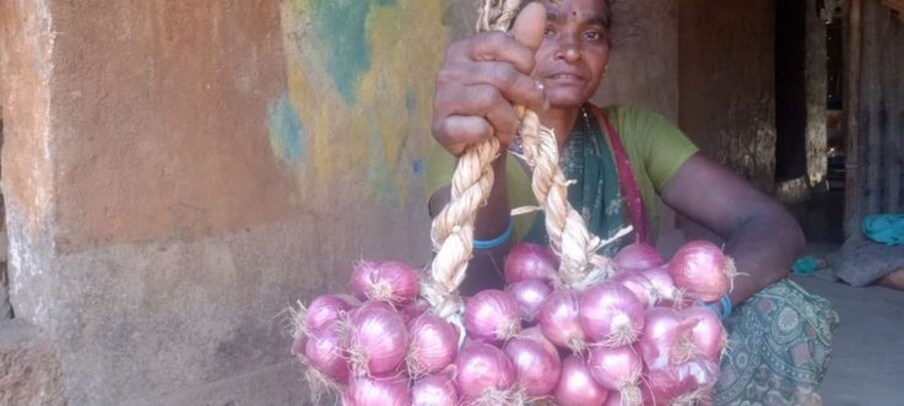  ఉత్తర కర్ణాటకలోని గోకర్ణ బీచ్ సమీపంలో, ఇప్పుడు ఈ తీపి ఉల్లిపాయలను పండించే సమయం వచ్చింది. ఏడాదికి మూడు నెలల పాటు పండే ఈ ఉల్లిని మార్చి చివరిలో లేదా చైత్ర సీజన్‌లో పండిస్తారు.