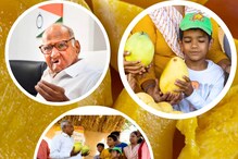 Mango: మామిడి పండుకు మాజీ సీఎం పేరు..  ఒక్కొక్కటి రెండున్నర కేజీలు