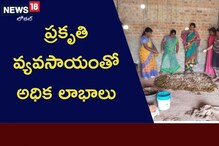 అరెకరంలో 30 రకాల పంటలు.. మహిళా రైతు సాగు..! లాభం ఎంతో తెలుసా..?
