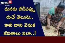 మనకు జీడిపప్పు రుచే తెలుసు.. కానీ దాని వెనుక జీవితాలు ఇలా..!