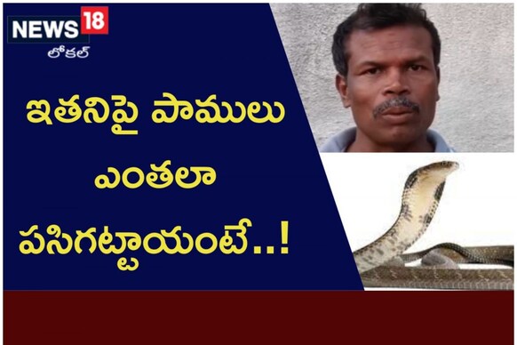 ఇతనిపై పాములు ఎంతలా పసిగట్టాయంటే..!