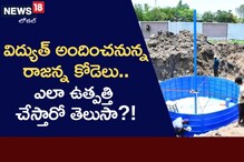రాజన్న కోడెల పేడతో విద్యుత్ ఉత్పత్తి.. ఎలా ఉత్పత్తి చేయనున్నారంటే?!