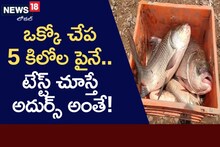 5 నుండి 15 కిలోల లక్నవరం చేపలు.. టేస్ట్ అదుర్స్!