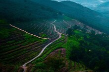 Visakha Araku Tour: విశాఖ, అరకు టూర్ కోసం స్పెషల్ బస్ ప్యాకేజీ... ఒకరికి ఎంతంటే