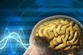 Healthy Brain: మెదడు పనితీరును పెంచే ప్రధాన విటమిన్లు..తీసుకోవాల్సిన ఆహారాలు ఏవంటే..