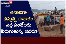 అనాదిగా వస్తున్న ఆచారం.. ఎడ్ల పందేలకు పెరుగుతున్న ఆదరణ