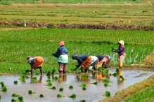 MSP Hike: కేంద్రం కీలక నిర్ణయం.. రైతులకు పండగ లాంటి వార్త..