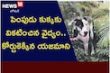 పెంపుడు కుక్కకు వికటించిన వైద్యం.. కోర్టుకెక్కిన యజమాని