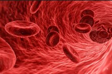 Blood Improving Food: శరీరంలో రక్తం తక్కువగా ఉందా ?.. వీటిని తింటే చాలు..