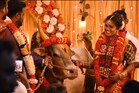 Bride: అత్తారింటికి ఎద్దు తీసుకెళ్లిన కొత్త పెళ్లికూతురు! ఎక్కడో తెలుసా?