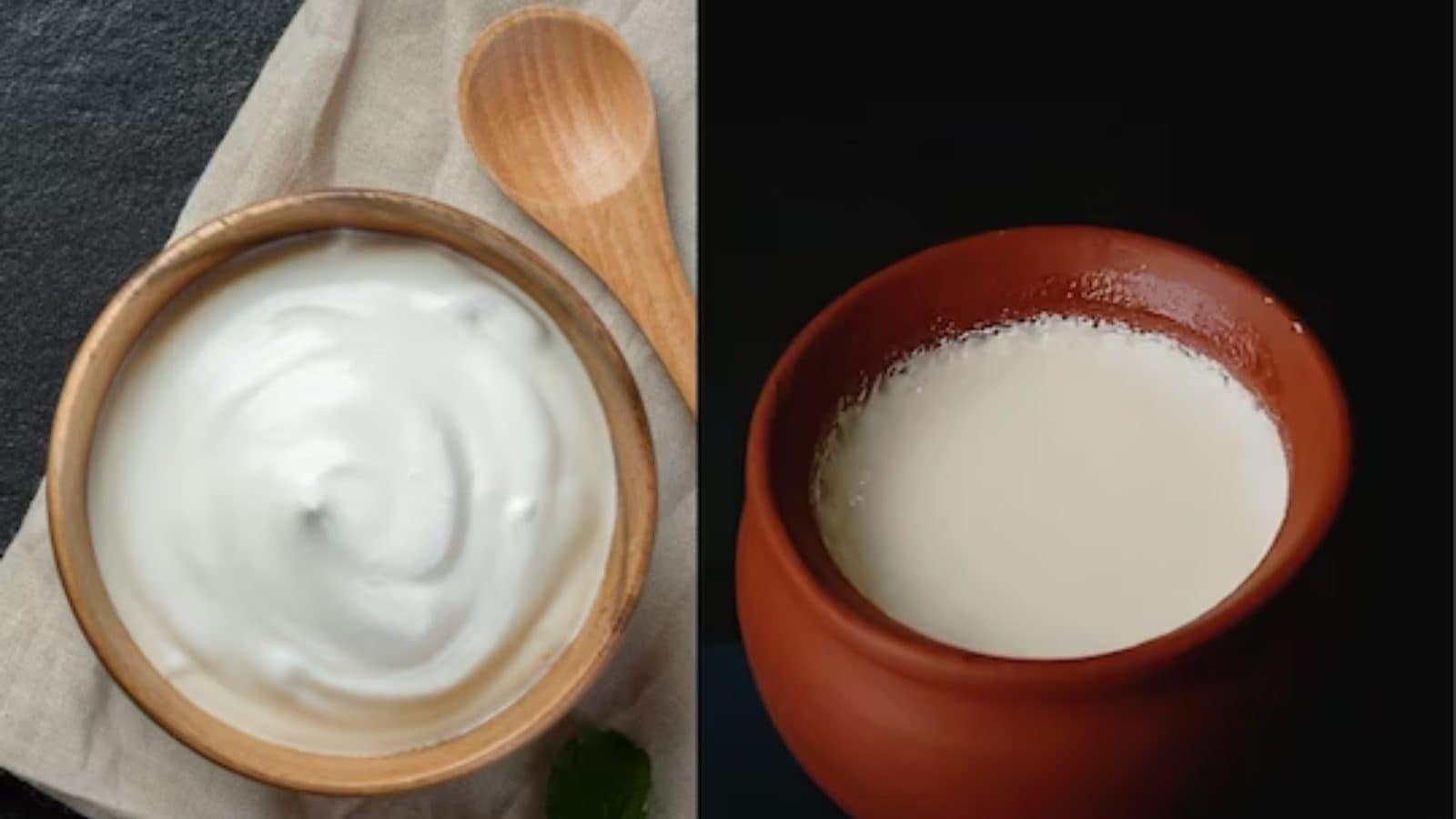 Curd vs Yogurt పెరుగుకీ యోగర్ట్‌కీ తేడా ఏంటి? ఏది మంచిది