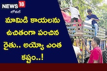 కిలో మామిడికి 6 రూపాయలే ఇస్తారట.. ఆ మాత్రం ఎందుకని.. అందరికీ ఉచితంగా పంచిన రైతు