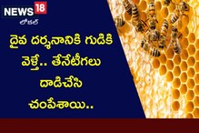 Honey Bees Attack: దేవుడిని దర్శించుకునేందుకు గుడికి వెళ్తే.. తేనెటీగలు దాడి చేసి చంపేశాయి