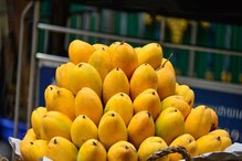 Avoid Mangoes: ఈ లక్షణాలు ఉన్న వాళ్లు మామిడి పండ్లకు దూరంగా ఉండాలి.. లేకపోతే..
