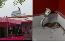 పోలింగ్ కేంద్రంలో నాగు పాము ప్రత్యక్షం.! ఓటు వేయడానికి వచ్చిన వాళ్లు పూజలు చేశారు