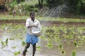 PM Kisan: పీఎం కిసాన్ రైతులకు అలర్ట్... 14వ ఇన్‌స్టాల్‌మెంట్ ఎప్పుడంటే