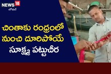 Wonder Sarees: ఆహా ఎంత నైపుణ్యం.. ఇలాంటి చీరలు ఎక్కడా చూసి ఉండరు..