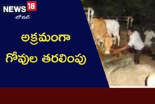 అక్రమంగా  గోవుల తరలింపు.. పోలీసుల అదుపులో ముఠా