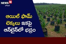 Oil Palm: తప్పుడు నివేదికలు ఇకపై చెల్లవు.. ఆయిల్ ఫామ్ లెక్కలు ఇకపై ఆన్‌లైన్‌లోనే..