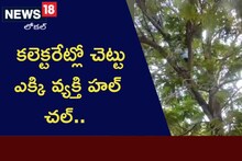 కలెక్టరేట్లో చెట్టెక్కి వ్యక్తి హల్ చల్.. కారణం ఇదే..!