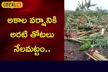 Crop Loss: అకాల వర్షానికి అరటి తోటలు నేలమట్టం..  నష్టం ఎంత వచ్చిందంటే