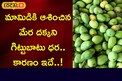 మామిడికి ఆశించిన మేర దక్కని గిట్టుబాటు ధర..కారణం ఇదే..!