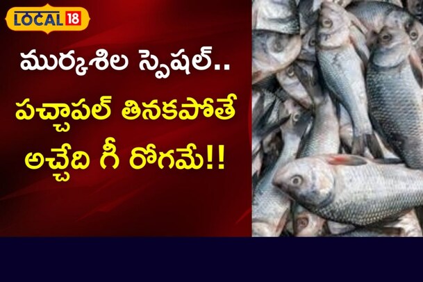 ముర్కశిల స్పెషల్..పచ్చాపల్ తినకపోతే అచ్చేది గీ రోగమే!!