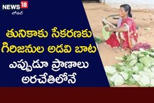 వేసవి వస్తే చాలు ఈ గిరిజనులకు ఏకైక ఉపాధి తునికాకు సేకరణ!