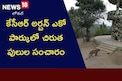 కేసీఆర్ అర్బన్ ఎకో పార్కులో చిరుత పులుల సంచారం