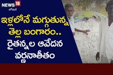 పత్తి రైతుల ఆవేదన.. ఇండ్లలోనే మగ్గుతున్న తెల్ల బంగారం!