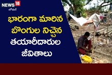 వెదురు బొంగులతో నిచ్చెన తయారీ.. వెనక కష్టాన్ని ఎప్పుడైనా గమనించారా?