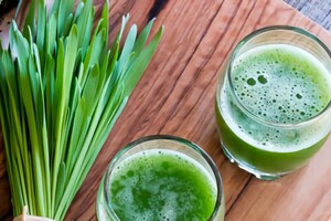 Wheat Grass: గోధుమ గడ్డి రసం తాగుతున్నారా...లాభాలే కాదు...మరి నష్టాలు కూడా తెలుసుకోండి...