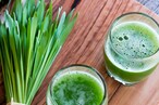 Wheat Grass: గోధుమ గడ్డి రసం తాగుతున్నారా...లాభాలే కాదు...మరి నష్టాలు కూడా తెలుసుకోండి...