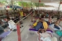 Fish Medicine : నేటి నుంచి చేపమందు పంపిణీ.. కావాలంటే ఇలా చెయ్యండి
