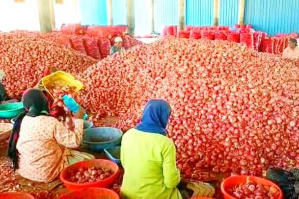 Onion Price : మహారాష్ట్రలో పడిపోయిన ఉల్లిధర.. ఎంతో తెలిస్తే షాక్ అవుతారు..!