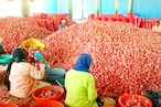 Onion Price : మహారాష్ట్రలో పడిపోయిన ఉల్లిధర.. ఎంతో తెలిస్తే షాక్ అవుతారు..!