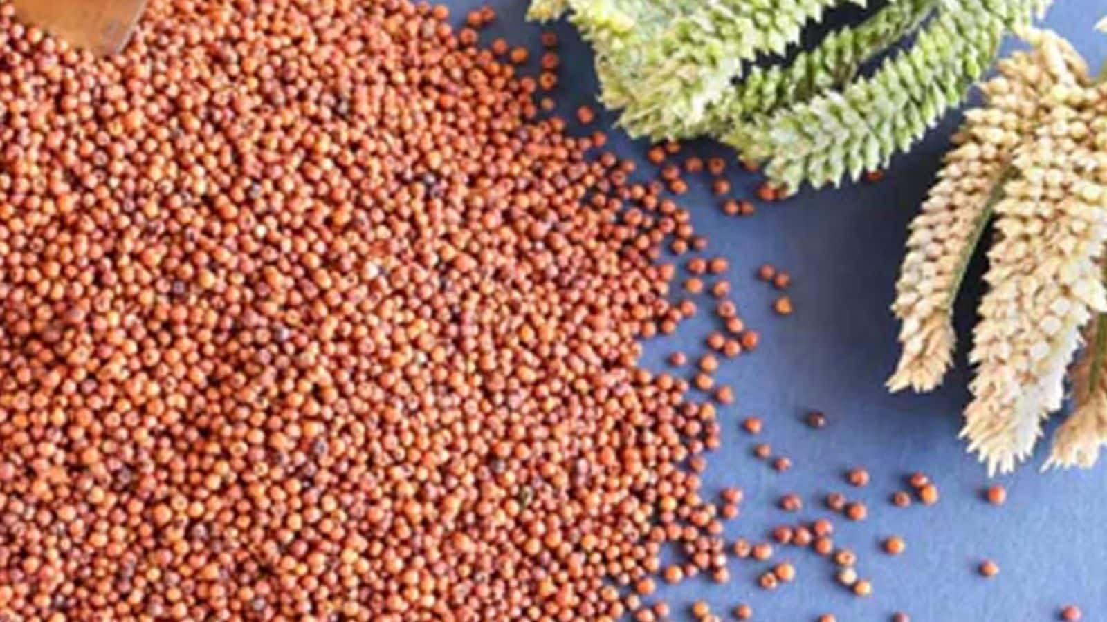 Ragi: పాలకు ప్రత్యామ్నాయంగా రాగులు తీసుకోవచ్చా? ఈ సూపర్ ఫుడ్ బెనిఫిట్స్ ...