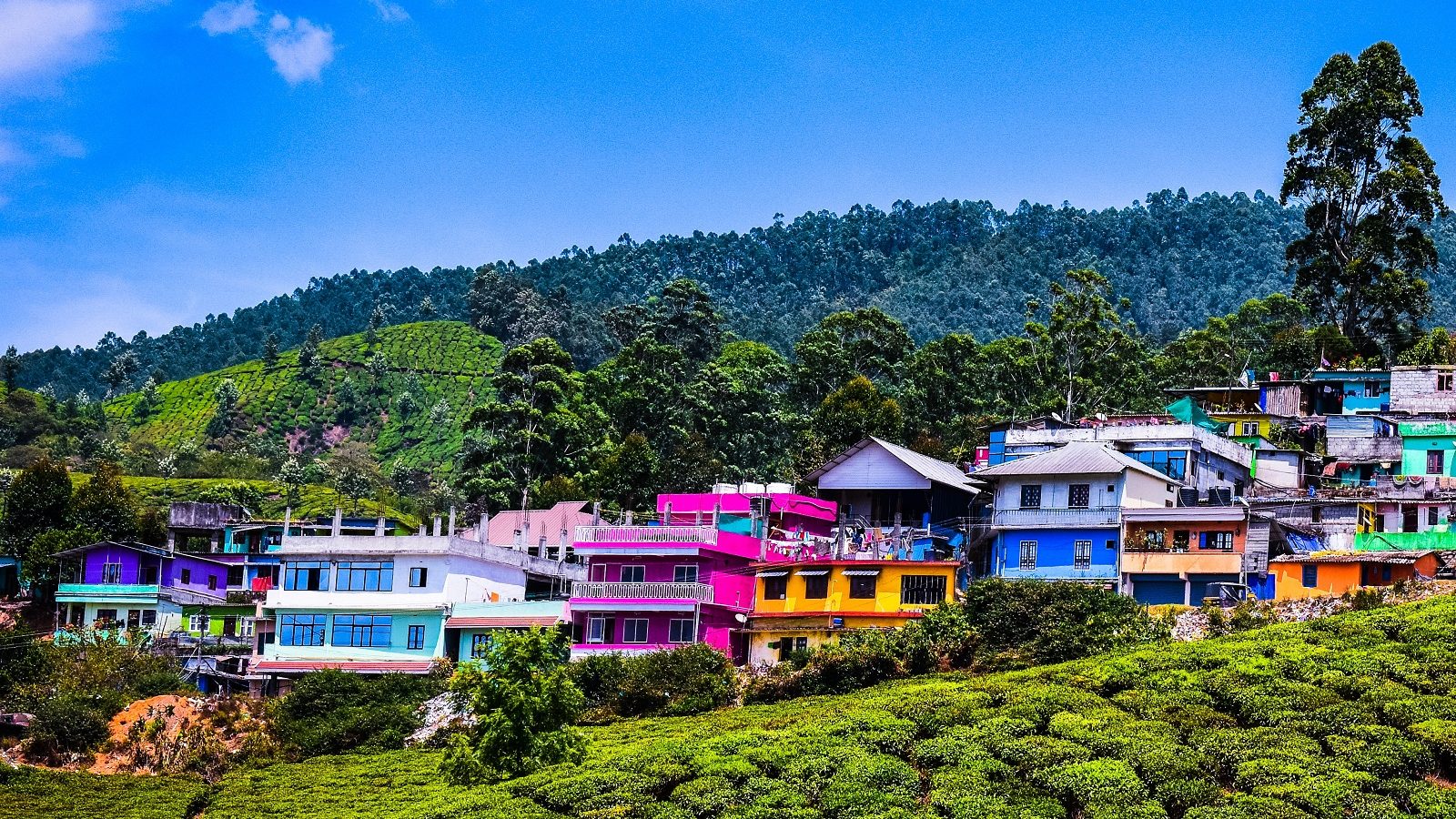 IRCTC Tourism Operating Kerala Flight Tour Package From Hyderabad irctc-tourism-operating-kerala-flight-tour-package-from-hyderabad