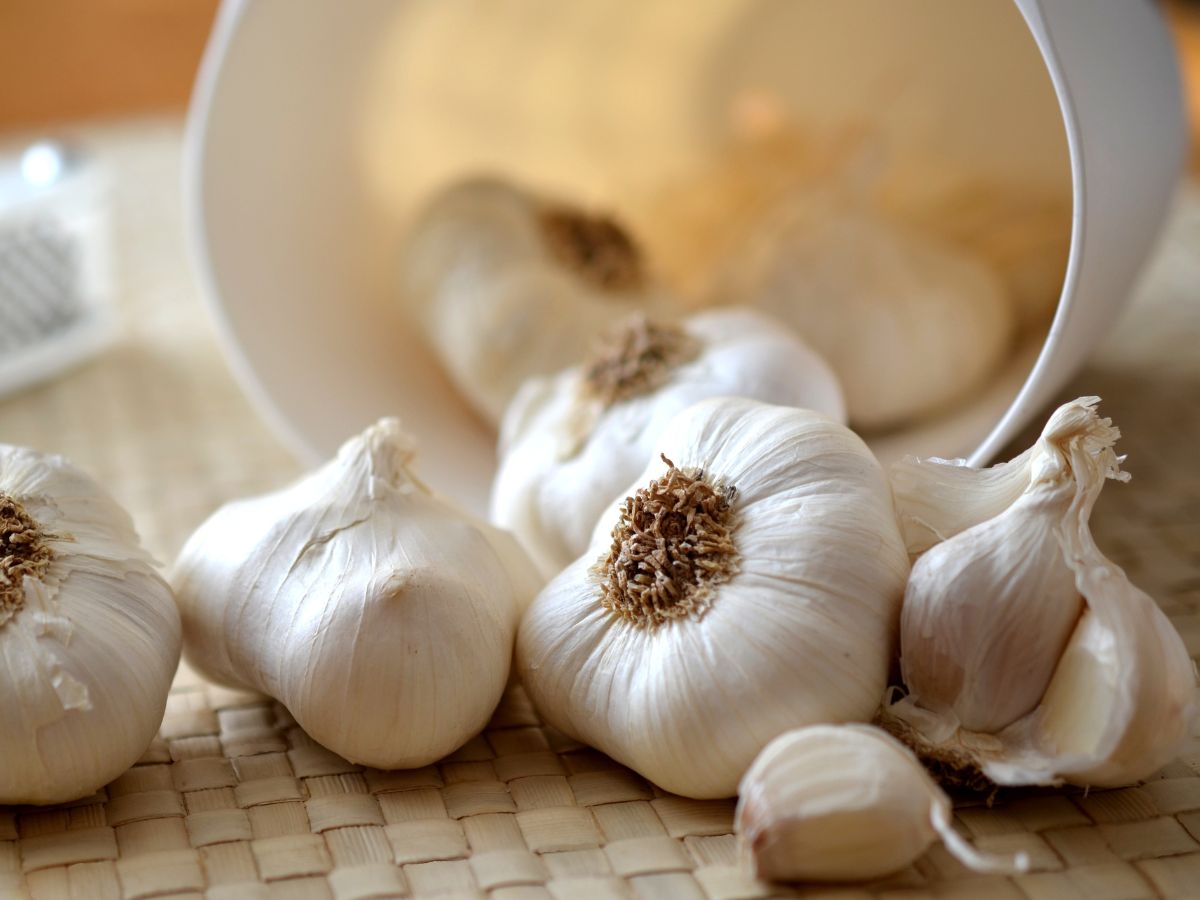 Garlic Benefits పెద్ద వెల్లుల్లి రెబ్బలు వాడండి.. ఈ 10 ప్రయోజనాలు