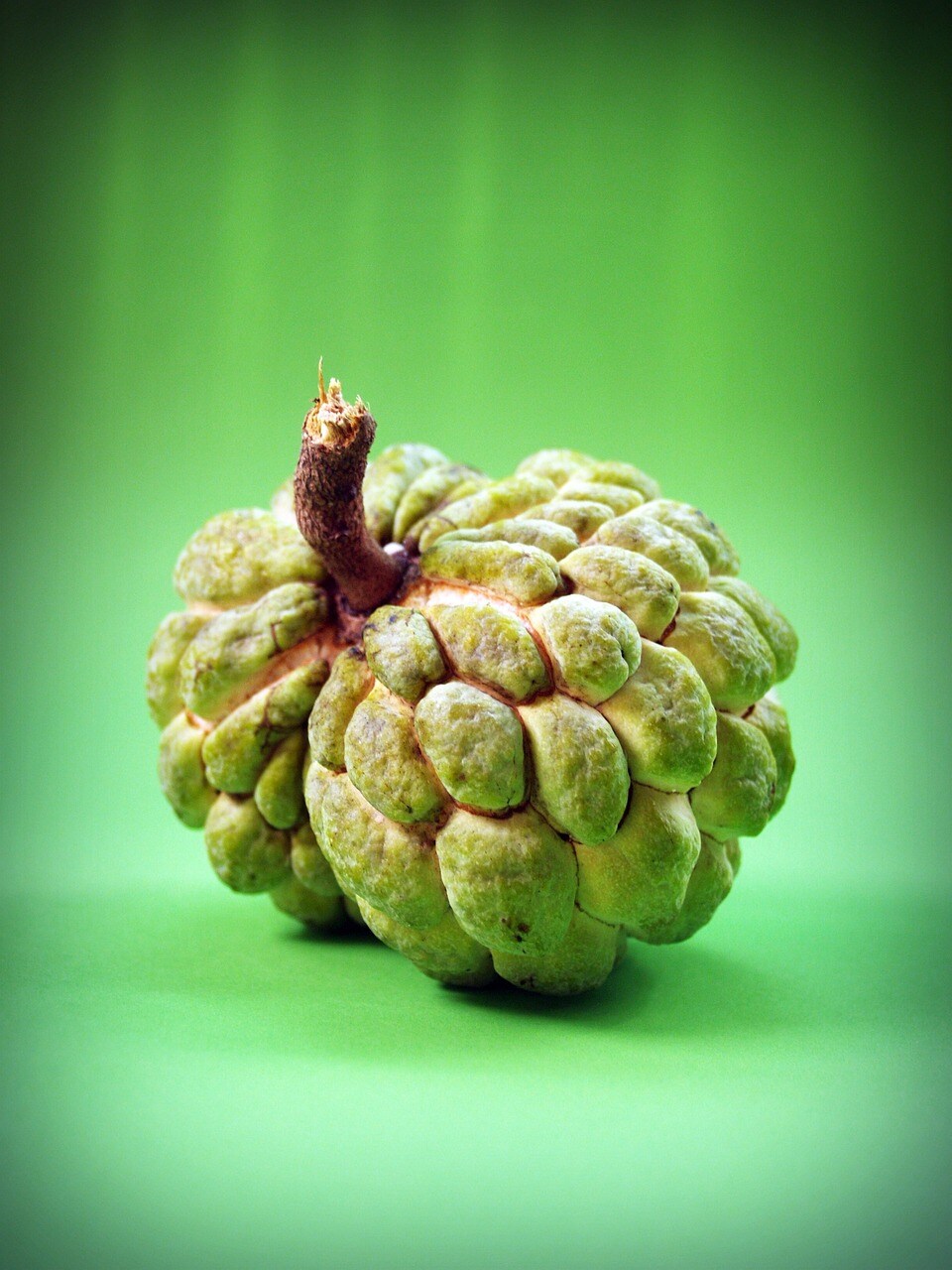 Custard Apple Custard Apple