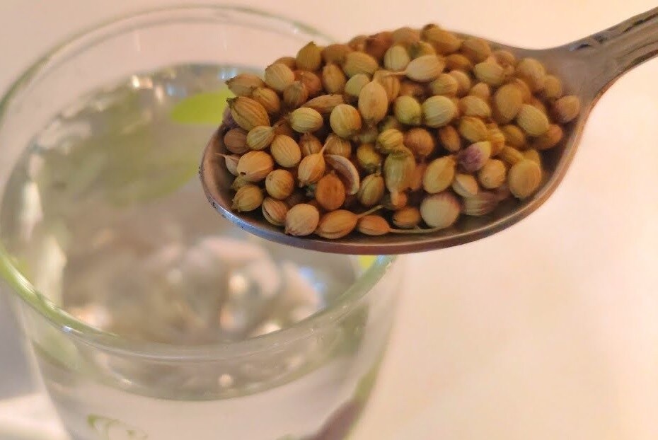 Coriander Seeds ధనియాల్లో ఇంత పవర్ ఉందా..? యూరినరీ ట్రాక్