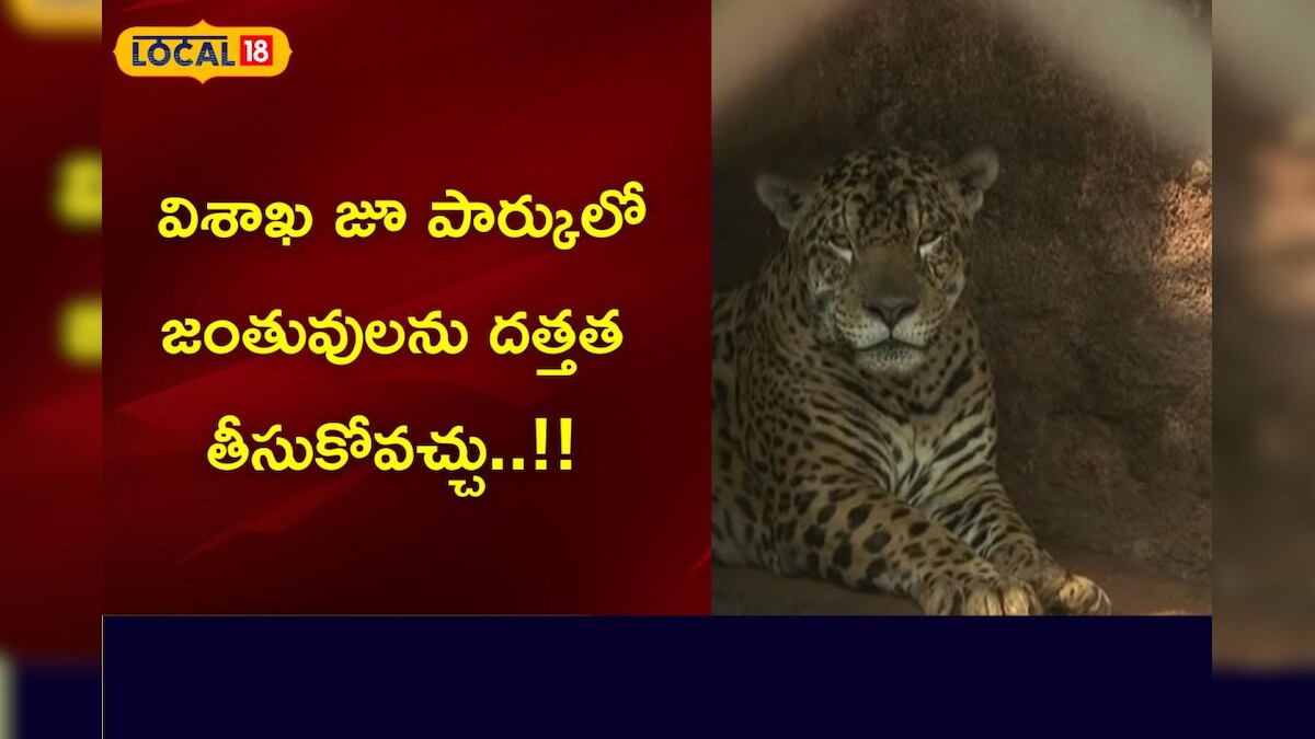 విశాఖ జూ పార్కులో జంతువులను దత్తత తీసుకోవచ్చు..!