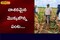 Adulterated medicines filled the farmer. Destroyed maize crop..!