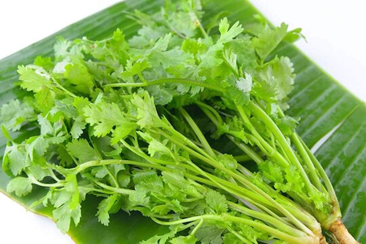 Uric Acid యూరిక్ యాసిడ్‌తో బాధ పడుతున్నారా? అయితే మీకు ఇది దివ్య ఔషధం