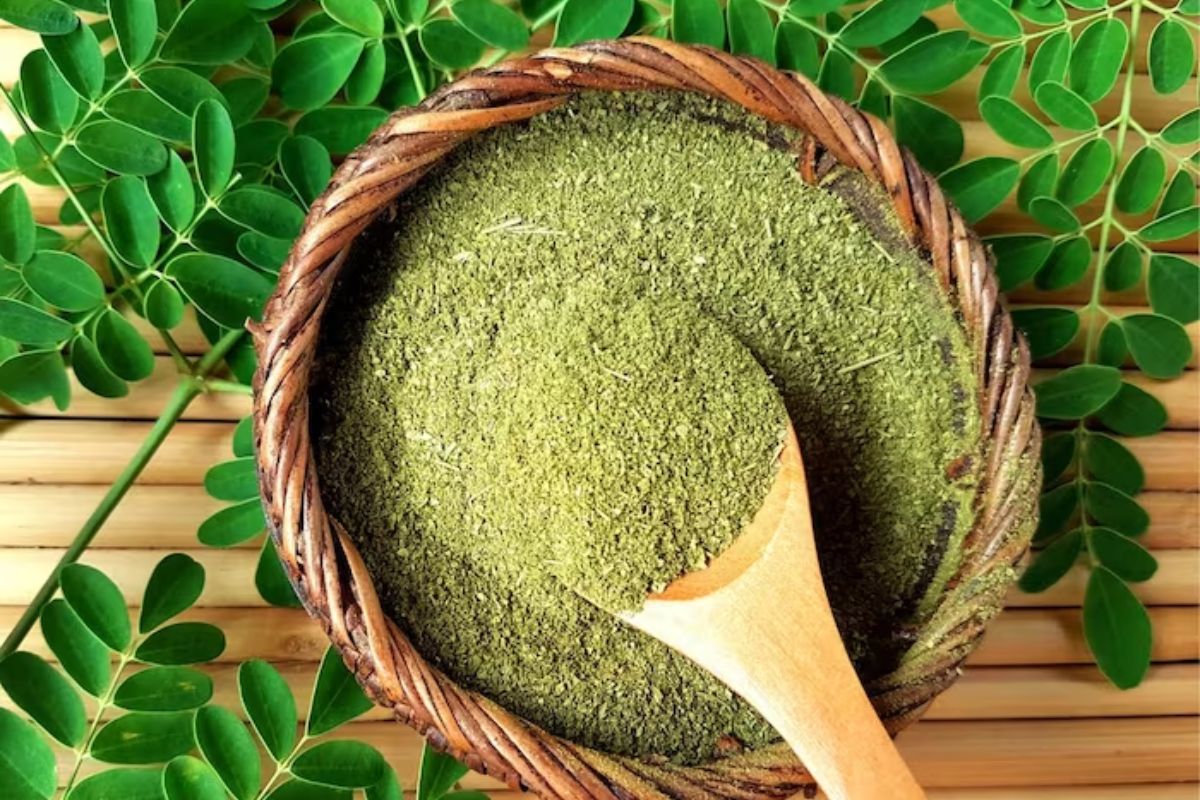 Moringa Powder Benefits: ఈ ఆకు పొడి తింటే.. ఇంట్లో రోగాలు పేరు ఉండదు ...