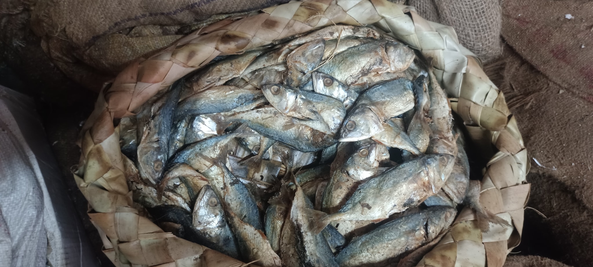 ఎండు చేపలు ఎన్ని రకాలో తెలుసా? తింటే ఆరోగ్య ప్రయోజనాలెన్నో! – News18 తెలుగు