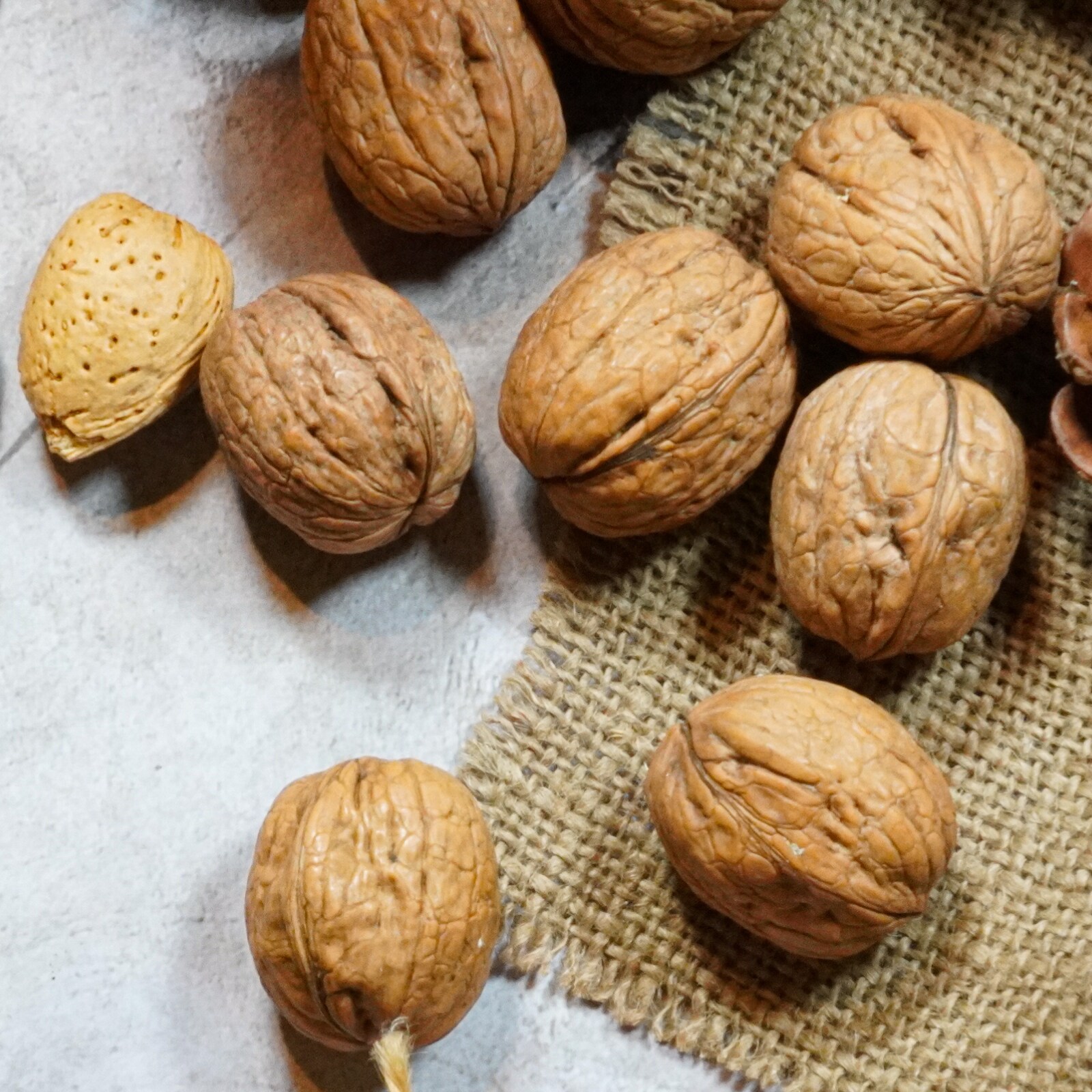 ఈ గింజల పొడితో మంచి నిద్ర, కడుపులో వ్యాధులు దూరం.. మరిన్ని ప్రయోజనాలు