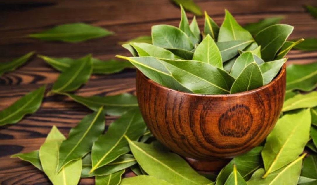 Bay Leaf మీ ఇంట్లో ఈ ఆకుల్ని కాల్చితే.. జరిగే అద్భుతం ఇదే.. తప్పక